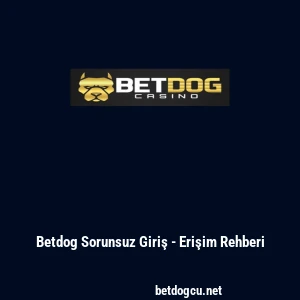 Betdog Sorunsuz Giriş - Erişim Rehberi