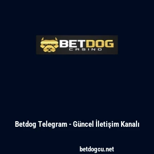Betdog Telegram - G&uuml;ncel İletişim Kanalı